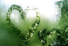 阿贾克斯施压埃弗顿，法国天才或付出代价