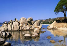 阿贾克斯施压埃弗顿，法国天才或付出代价